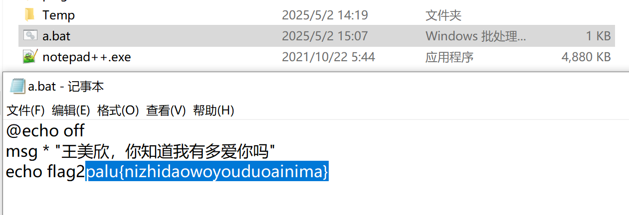 批处理文件中的 Flag2
