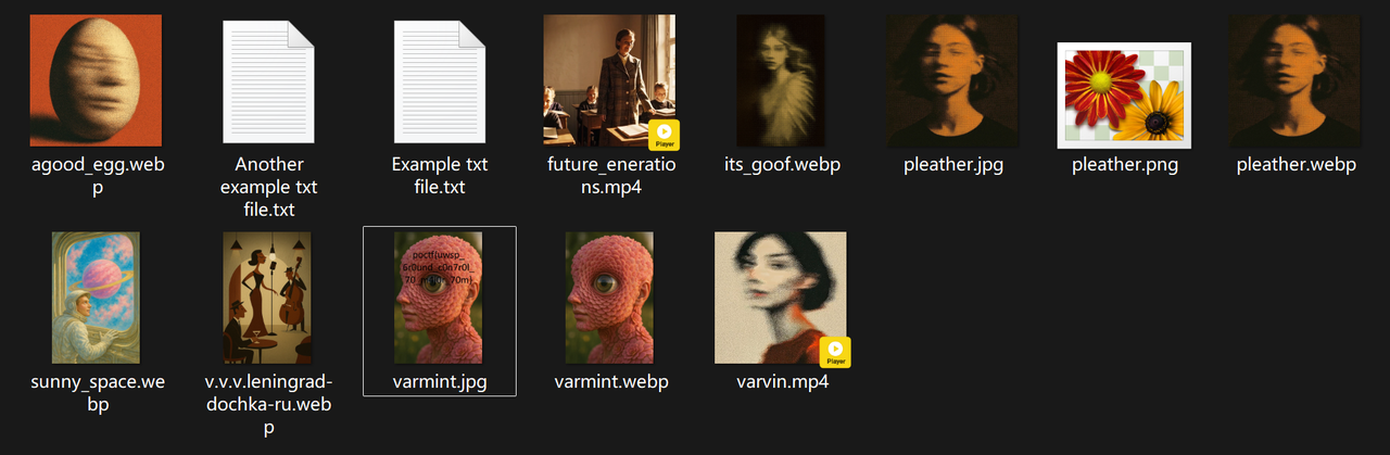 提取出的文件一览