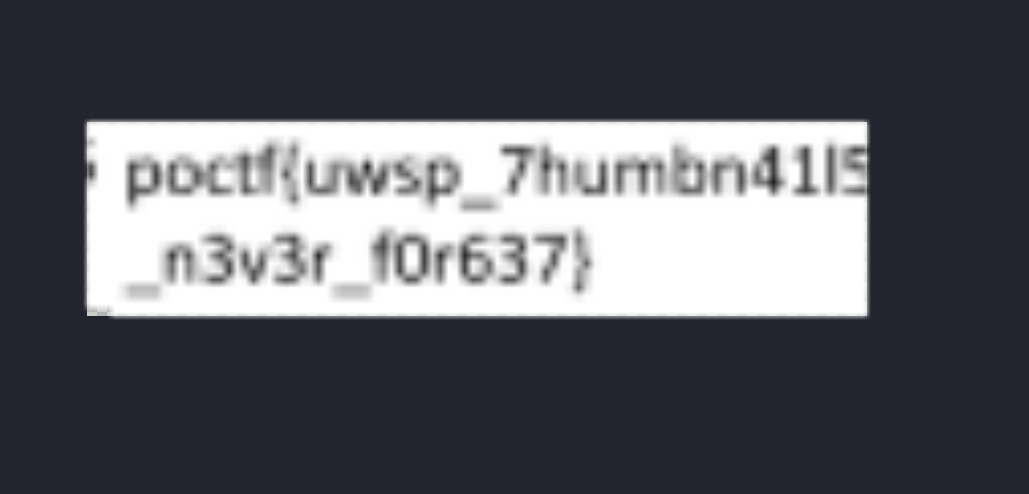 缩略图中的 Flag