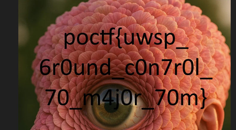 图像文件中的 Flag