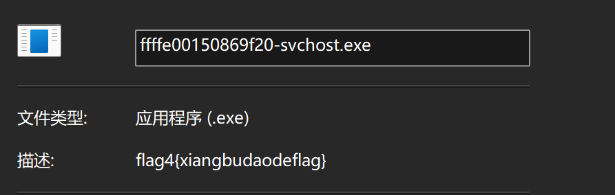 VMWare 用户临时文件目录下的文件信息 Flag4
